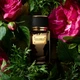 Тестер Парфумована вода унісекс Dolce & Gabbana Velvet Black Patchouli 100 мл - зображення 3