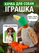 Мягкая игрушка для собак и кошек Утка с пищалкой и имитацией звука шуршащая для щенков средних и мелких пород VMHouse интерактивный игрушечный предмет (0064-0001) - изображение 1