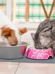 Силиконовый коврик под миску для собак и кота VMHouse подставка под кошачий лоток напольный ковер с бортиками для корма антискользящий водонепроницаемый голубой (0149-0004) - изображение 10