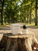 Парфуми Byredo Mojave Ghost 100 мл унісекс нішеві квітково-деревний аромат з магнолією сандалом та амброю - зображення 3