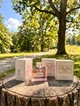 Парфуми Miss Dior Chérie Eau de Parfum 100 мл жіночі квітковий солодкий шлейф з мандарином жасмином та карамельними нотами - зображення 3