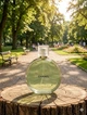 Парфюм Chanel Chance Eau Fraiche 100 мл женские с цитрусами жасмином и белым мускусом свежий цветочно-цитрусовый шлейф - изображение 3