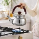 Чайник для плиты A-PLUS Tea Expert 2в1 встроенное сито для листового чая, 1.0 л из нержавеющей стали - изображение 3