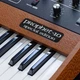 Синтезатор Sequential Prophet-10 Special Edition - зображення 6