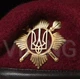 Берет Малиновый ВСУ (эксклюзив) Отдельного Полка Президента Украины L / 57-58 - изображение 3