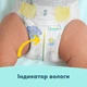Подгузники Pampers Premium Care Розмір 4 (9-14 кг) 188 шт (8006530223829) (22510) - зображення 7