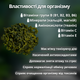 Жіночий китайський чай Те Гуань Інь зелений порційний улун 250 грамів, елітний чай у подарунковій упаковці - зображення 1