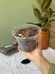 Прозорий горщик 1.6 л 14*10,5см - изображение 5