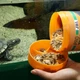Корм для водяних та болотяних черепах JBL TERRA PRO MOLLUSCUS, 250 мл - зображення 3