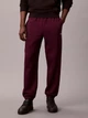 Спортивные штаны утепленные мужские Calvin Klein 190535581 M Фиолетовые (1159862012) - изображение 1