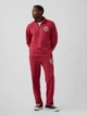 Спортивный костюм утепленный мужской GAP 422363340 XL Красный (1159862190) - изображение 1