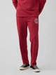 Спортивный костюм утепленный мужской GAP 422363340 XL Красный (1159862190) - изображение 6