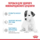 Заменитель молока для щенков с рождения Royal Canin Babydog Milk, 2 кг - изображение 5