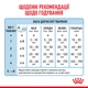 Заменитель молока для щенков с рождения Royal Canin Babydog Milk, 2 кг - изображение 7