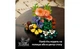 Конструктор LEGO Лісові гриби 806 деталей (11505) - зображення 8