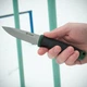 Ніж Ganzo G806-GB, сталь 8Cr14, з чохлом, зелений колір - зображення 2