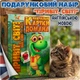 Подарочный набор карточек Домана «Привет, мир!», от 0 до 12 месяцев — развивающие карточки на английском языке, 152 карточек - изображение 1