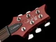 Електрогітара PRS SE Custom 24 2026 Charcoal Cherry Burst (SUP_jb996) - зображення 5