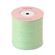 Пряжа Ispie Raffia, М'ята/Opal green: 120 г 250 м. Нитка для в'язання, 100% целюлоза, Іспі Рафія - зображення 2