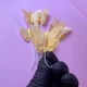 Вафельний декор Slado Метелики жовті 3,5х3 см 7 шт - изображение 2