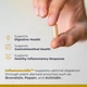 Домішка преміумкласу ферменти для травлення Premier Research Labs Inflammacidin 90 капсул - зображення 5