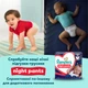 Подгузники-трусики Pampers Premium Care Pants Размер 4 (9-15 кг) 124 шт (8006530315852) - изображение 3