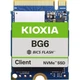 Накопичувач SSD M.2 2230 256 GB Kioxia (KBG60ZNS256G) - зображення 1