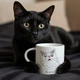 Чашка "Удивлённый кот" - изображение 13