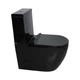 Унітаз-моноблок Ermin 67*37*84 black ( А0057118 ) - изображение 1