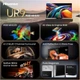LED-телевізор Hisense 65UR9S (7263496) - изображение 6