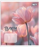 Набір зошитів учнівських Yes Bloom or Fade А5 24 аркуші у клітинку 20 шт (768874) - зображення 4