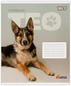 Набор ученических тетрадей Yes Ursa А5 24 листа в линейку 20 шт (768957) - изображение 2