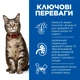 Hill's SCIENCE PLAN Adult Сухой корм для взрослых кошек, с курицей, 15 кг - изображение 2