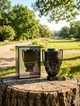 Парфюм Paco Rabanne Invictus Onyx 100 мл мужские морско-древесный аромат грейпфрут жасмин амбра свежая волна стойкий шлейф - изображение 3