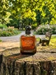 Парфюм Armani Stronger With You Absolutely 100 мл мужские амброво-восточный шлейф с ромом лавандой и ванилью - изображение 2