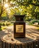 Парфуми Tom Ford Tobacco Vanille 100 мл унісекс з тютюном та ваніллю какао та спеціями сухофруктами теплий статусний шлейф стійкість - зображення 2