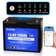 Аккумуляторная батарея LiFePO4 DC HOUSE 12.8V 100Ah Bluetooth - изображение 4