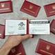 Сувенірне жартівливе посвідчення Пропуск будь-куди в м'якому бордовому бланку креативний подарунок - зображення 1