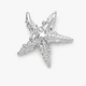 Брошь BROCHE Морская Звезда из стали серебристая BRBF115487 - изображение 4