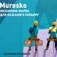 Краска фасадная силиконовая Caparol Mureskо бесцветная B3 9,4 л - изображение 4