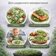 Набір для вирощування мікрозелені Салатний 8 культур - зображення 6