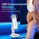 Студийный профессиональный микрофон Haomuren K66 белый - изображение 2