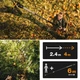 Телескопічний універсальний сучкоріз Fiskars PowerGear ™ UPX86 (1023624) - изображение 8