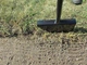 Інструмент для оформлення країв газону Fiskars Solid 5371 (1011617) - зображення 2