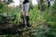 Мотика-розпушувач від бур'янів S-ручка Fiskars Ergonomic (1077110) - изображение 3