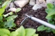 Мотика S-ручка Fiskars Ergonomic (1076979) - зображення 9