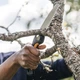 Запасне полотно для складної пилки Fiskars Plus™ SW68 (1067554) - зображення 4