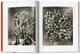Karl Blossfeldt. The Complete Published Work. 45th Edition - Hans Christian Adam (9783836598514) - obraz 3