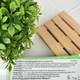Детская зубная паста Wild EMOFORM Youngstars с фторидом олова 1000 ppm F-, фруктовый вкус (6–12 лет), 75 мл - изображение 3