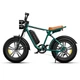 Електровелосипед фетбайк ENGWE M20 1000W 48V 13Ah, колеса 20", зелений - зображення 1